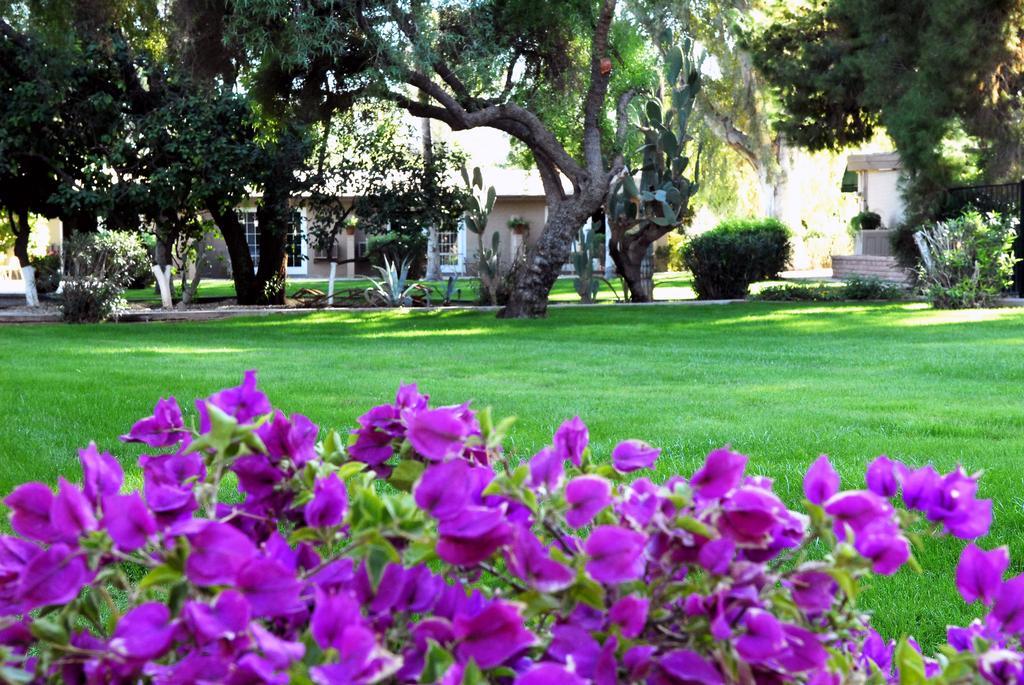 Smoketree Resort And Bungalows Scottsdale Extérieur photo